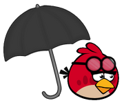 Angry Birds Story Wiki Picture 18