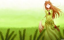 Spice and wolf tv1