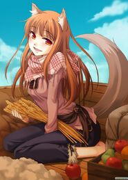 Spice and wolf tv111