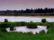 Lakeofshiningwaters.jpg (237 KB) Jezioro Lśniących Wód