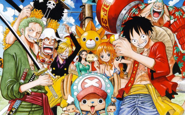 Perfil, Luffy, One Piece