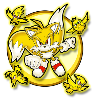 Tails perfil, Wiki