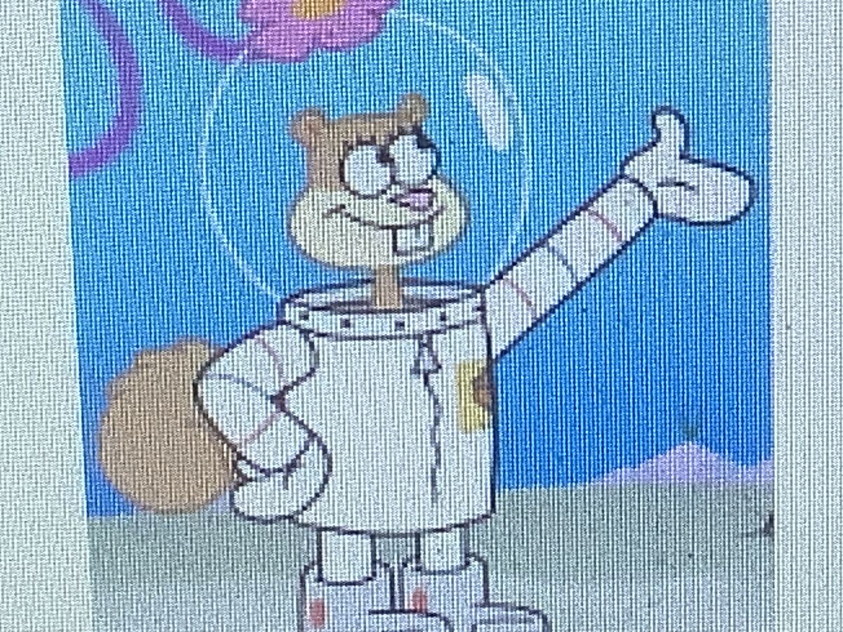 Sandy Cheeks | AnimaeRockz Wiki | Fandom