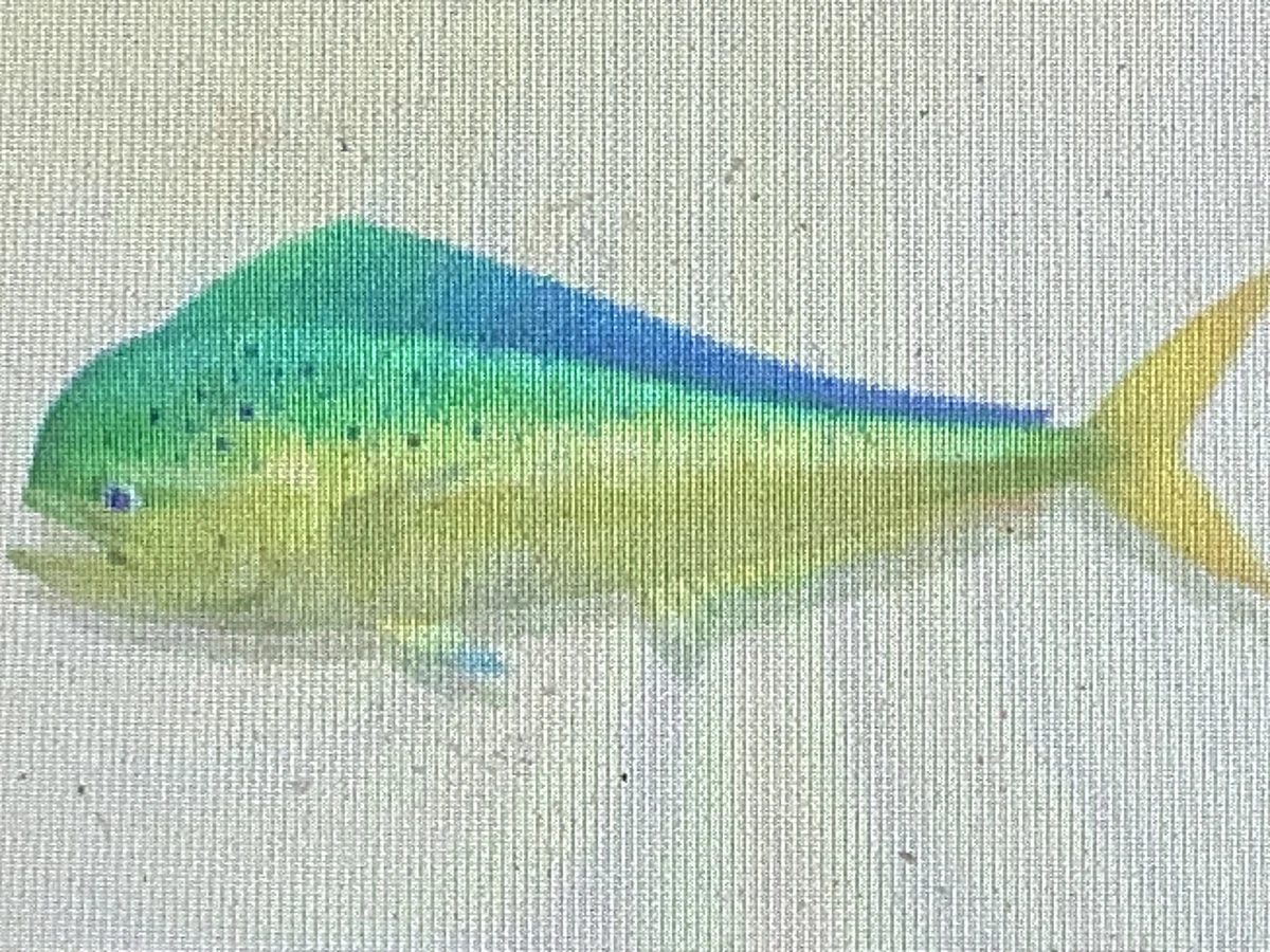 MahiMahi AnimaeRockz Wiki Fandom