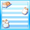 Cute Chubby Hamsters