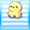 Little Chick On My Head Type 3