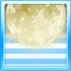 Luminescent Moon Type 1