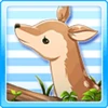 Forest Friends