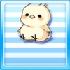 Little Chick On My Head Type 6