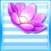 NiPaN07