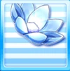NiPaN10