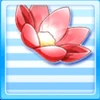 NiPaN08