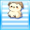 Little Chick On My Head Type 4