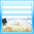 Shiny Fried Rice