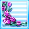 FPrN29
