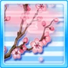 PBF4000Reward