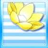NiPaN09