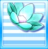 NiPaN11