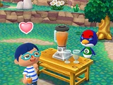 Animal Crossing: Pocket Camp