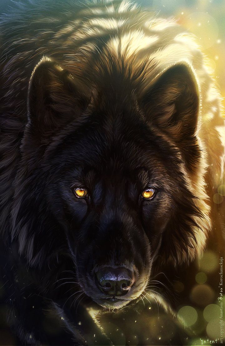 black wolf yellow eyes drawing