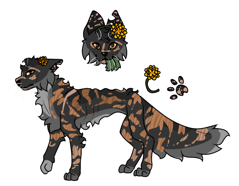 Warrior Cats Generator (UPDATED) 