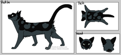 User blog:Wammer17/idk warrior cat icons?, Animal Groups Roleplay Wiki