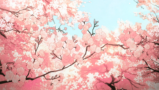 Share 166+ anime cherry blossom aesthetic best - highschoolcanada.edu.vn