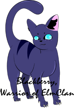 User blog:Majentawolfcat/cute gifs, Animal Groups Roleplay Wiki