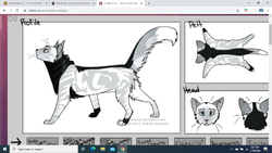 User blog:Wammer17/idk warrior cat icons?, Animal Groups Roleplay Wiki