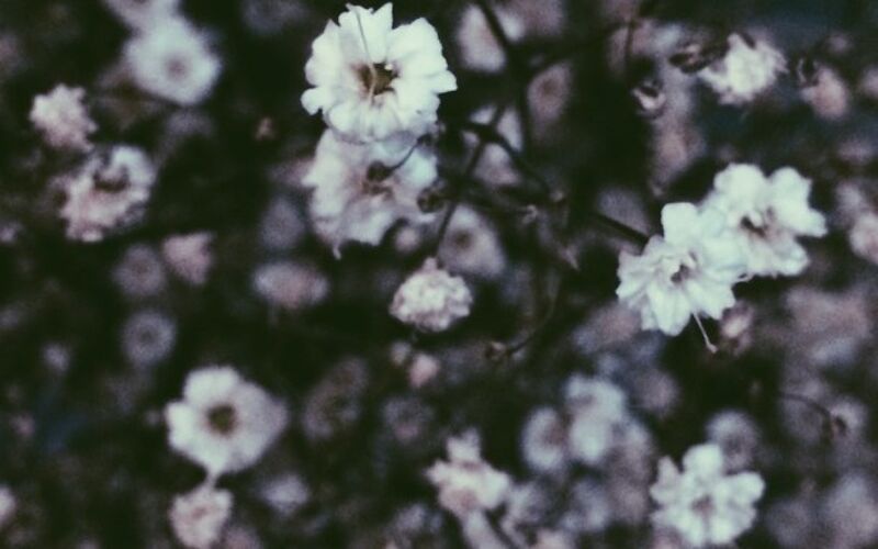 pale grunge tumblr backgrounds