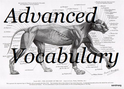 Advanced Vocabulary