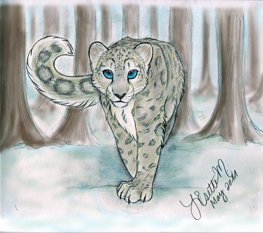 Snow leopard art luminos paw snow lepoard animal winter fantasy  sandramalie HD wallpaper  Peakpx