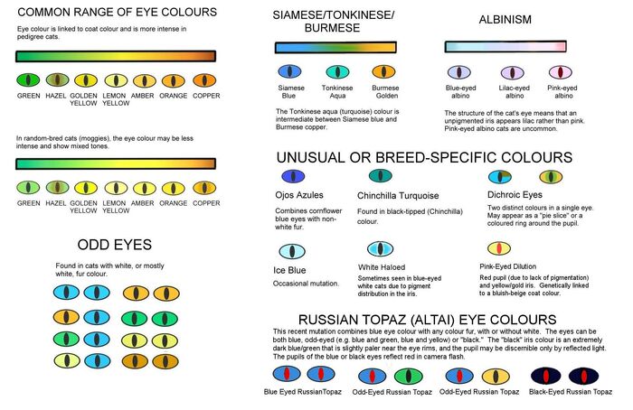 Eye-colours