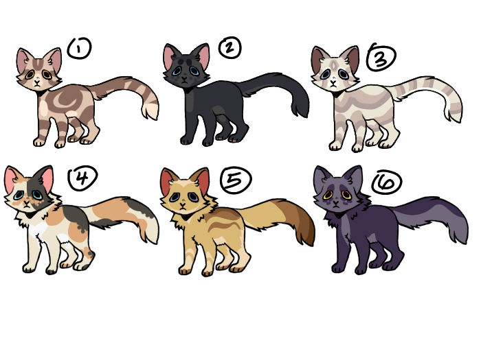 User blog:Petitepetals/mira, Animal Groups Roleplay Wiki