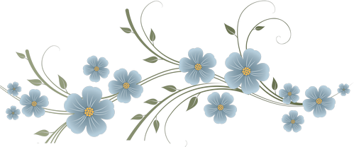 Pale-blue-page-divider-flowers.png