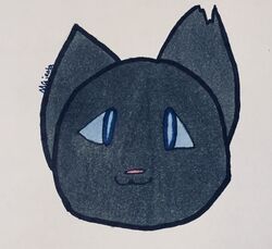 User blog:Majentawolfcat/cute gifs, Animal Groups Roleplay Wiki