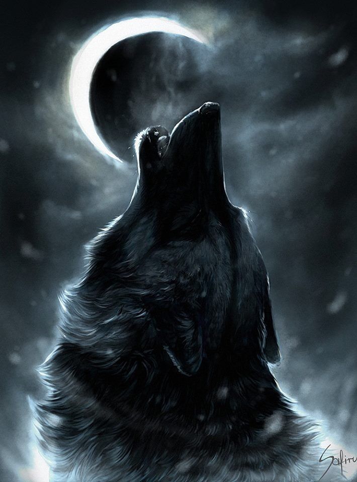 User blog:Tigressthefierce/Eclipse's OC page layout | Animal Groups Roleplay Wiki | Fandom User blog:Tigressthefierce/Eclipse's OC page layout | Animal Groups Roleplay Wiki | Fandom