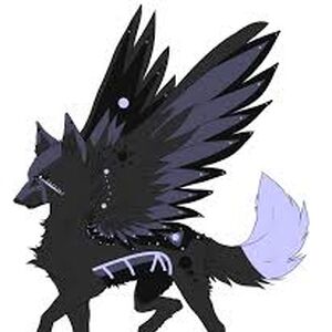 Winged Galaxies Animal Groups Roleplay Stories Wiki Fandom She is a pretty lilac with dark berry spots. animal groups roleplay stories wiki