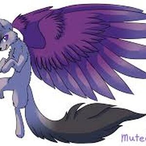 Winged Galaxies Animal Groups Roleplay Stories Wiki Fandom Wolves can also be big threats to one wolf but to a pack of wolves they can easily defeat a bear. animal groups roleplay stories wiki