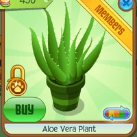 Aloe Vera Plant Animal Jam Collector S Item Worth Wiki Fandom