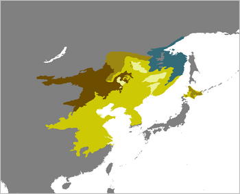 Grus japonensis