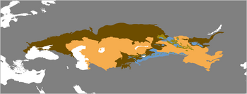 Saiga tatarica