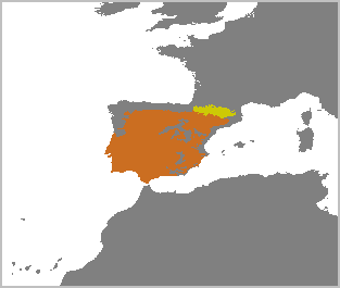 Lynx pardinus