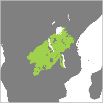 Agapornis fischeri