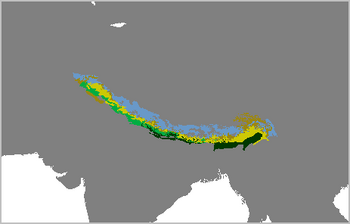 Naemorhedus goral