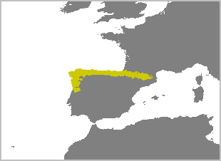 Rupicapra pyrenaica
