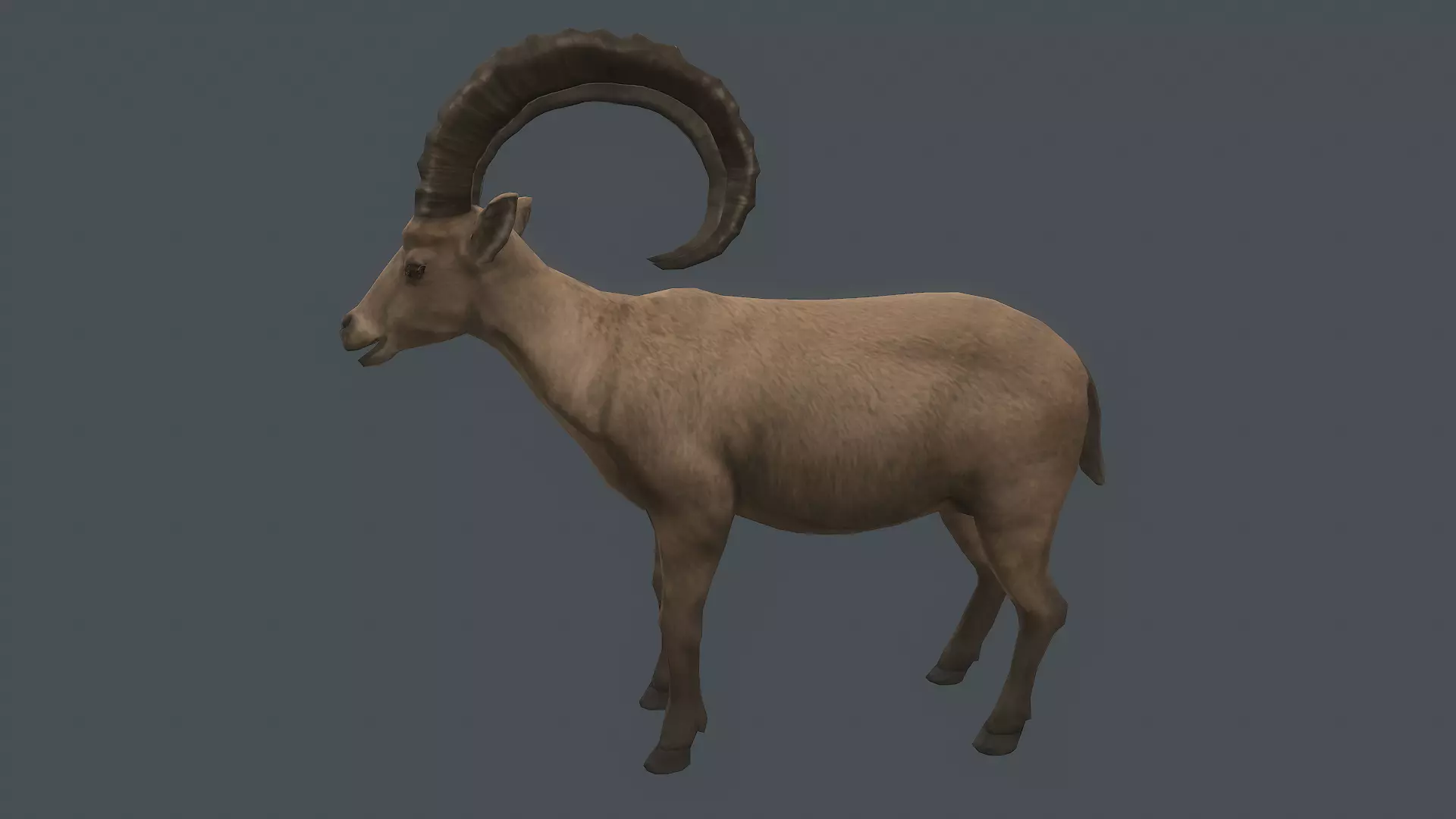 Ibex | Animal Revolt Battle Simulator Wiki | Fandom Ibex | Animal Revolt Battle Simulator Wiki | Fandom