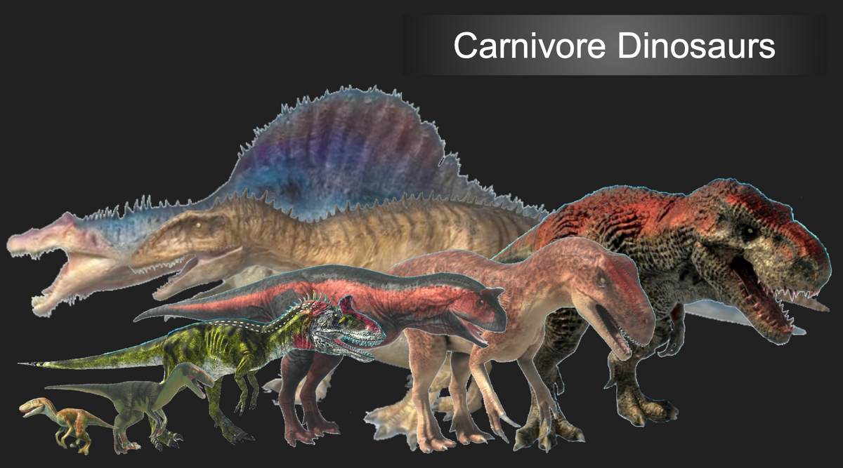 carnivore dinosaurs