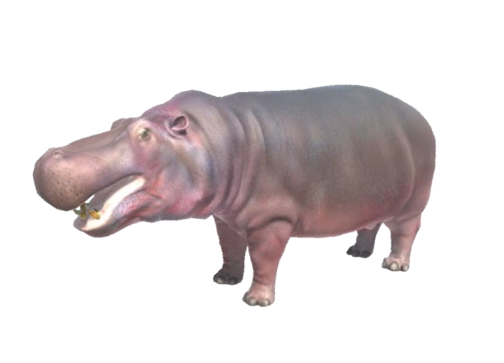 Hippopotamus | Animal Revolt Battle Simulator Wiki | Fandom Hippopotamus | Animal Revolt Battle Simulator Wiki | Fandom