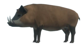 340?cb=20240730154532